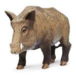 Safari Boar Size X Small Doll