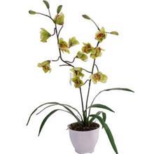 گلدان و گل مصنوعی هارمونی مدل ارکیده MD2007 Harmony Orchid MD2007 Flower Pot