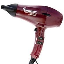 سشوار پرینسلی PR242 Princely PR242 Hair Drier