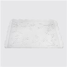 سینی یکبار مصرف کوشا مدل بزرگ بسته 10 عددی Koosha Great Disposable Tray Pack Of 10