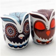 سرویس نمک و فلفل Multiplechoice طرح جغد رنگی کد 2092 Multiplechoice Colorful Owl 2092 Salt And Pepper Shaker Set