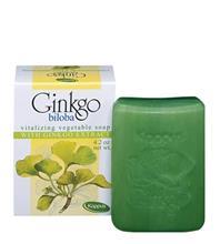 Kappus Ginkgo biloba soap 