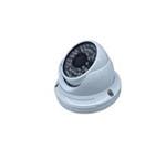 Pelco  N101D‎ IP Camera