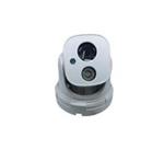 Pelco  N202D‎ IP Camera