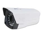 Pelco  PL-N769‎ IP Camera