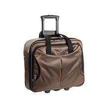 چمدان دلسی مدل DLC کد 248448 Delsey Luggage 