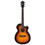 گیتار آکوستیک آیبانز مدل AEG10II VS