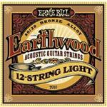 Ernieball 2010 Acoustic Guitar String