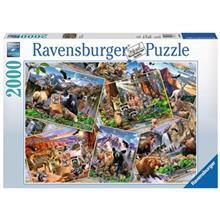 پازل 2000 تکه راونزبرگر مدل Postcard Parks Ravensburger Postcard Parks Puzzle 2000 Pcs