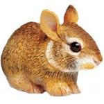 عروسک سافاری مدل Eastern Cottontail Rabbit Baby سایز خیلی کوچک سایز خیلی کوچک