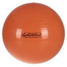 توپ بدنسازی لدراگوما مدل Gymnastik Ball Standard با قطر 53 سانتی‌متر Ledragomma Gymnastik Ball Standard 53cm