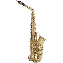 ساکسیفون آلتو استگ مدل WS-AS215S Stagg WS-AS215S Alto saxophone