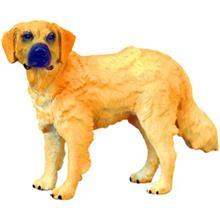 عروسک سگ شکاری طلایی کالکتا کد 88116 سایز 1 Collecta Golden Dog 88116 Size 1 Toys Doll