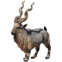 عروسک بز مرخور کالکتا کد 88641 سایز 1 Collecta Markhor 88641 Size 1 Toys Doll