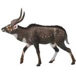 Collecta Mountain Nyala 88689 Size 2 Toys Doll