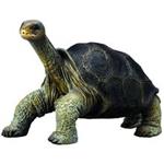 Collecta  Pinta Island Tortoise 88619 Size 1 Toys Doll