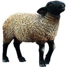 عروسک گوسفند سافک کالکتا کد 88653 سایز 1 Collecta Suffolk Sheep 88636 Size 1 Toys Doll