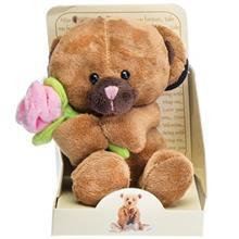 عروسک خرس و گل رز پولیشی پالیز سایز 1 Paliz Bear with Rose Size 1 Toys Doll