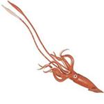 Safari Giant Squid 212302 Size 5 Toys Doll