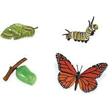 عروسک چرخه زندگی پروانه پادشاه سافاری کد 622616 سایز 2 Safari Life Cycle Of a Monarch Butterfly 622616 Size 2 Toys Doll