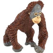 عروسک بچه اورانگوتان سافاری کد 293629 سایز 1 Safari Orangutan Baby 293629 Size 1 Toys Doll