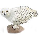Safari Snowy Owl 264729 Size 1 Toys Doll