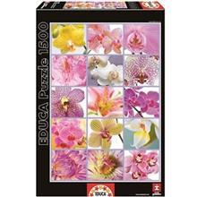 پازل 1500 تکه ادوکا مدل Collage of Flowers Educa Snow Board 1500Pcs Toys Puzzle 