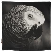 کاور کوسن ینیلوکس مدل Parrot Yenilux Parrot Cushion Cover