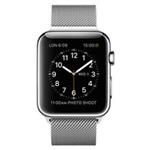 Apple Watch 38mm - Stainless Steel Case with Milanese Loop - MJ322