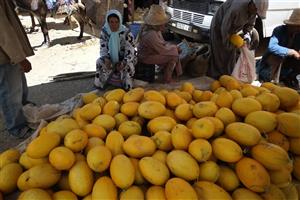 دوربین دیجیتال فوجی فیلم ایکس - ای 1 بدنه