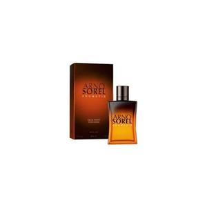 ادو تویلت مردانه آرنو سورل Aromatic  حجم 100ml Arno Sorel Aromatic Eau De Toilette For Men 100ml