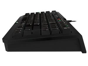 Razer BlackWido Tournament STEALTH Edtion 2014 