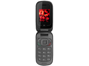 گوشی موبایل زد تی ایی مدل R621J ZTE R621J