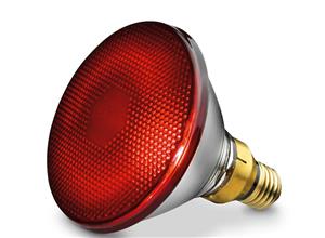 لامپ مادون قرمز بیورر مدل IL21 Beurer IL21 Infrared Lamp