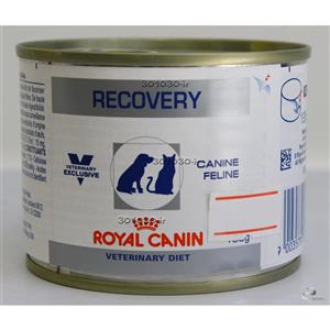 غذای کنسرو ریکاوری سگ و گربه رویال کنین (Royal Canin Recovery Wet) وزن 195 گرم