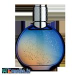 ادوپرفیوم مردانه Van Cleef & Arpels Midnight In Paris 100ml