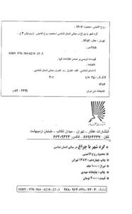 گرد شهر با چراغ