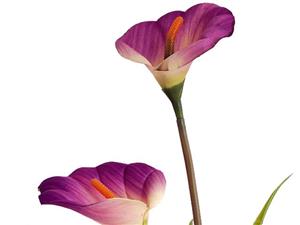  گل مصنوعی رز لمسی با گلدان مدل 14081