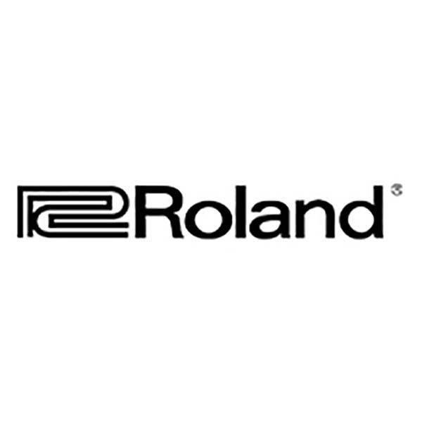 ROLAND AMPILIFIER CUBE 10GX