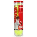 Wilson Championship Tennis Balls Pack Of 4