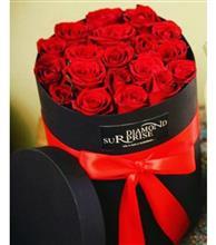 باکس گل استوانه ای رز هلندی