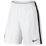 Nike FFF Stadium Shorts For Men