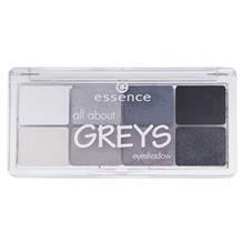 سایه چشم اسنس مدل all about Grays شماره 04 Essence all about Grays Eyeshadow 04