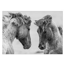 تابلوی ونسونی طرح Gray Horses سایز 50x70 Wensoni Gray Horses Chassis 50x70