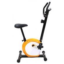 دوچرخه ثابت پاندا B 541 panda magnetic bike B541   Panda Bicycle B541