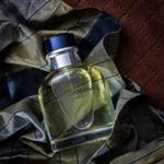 دولچه اند گابانا پور هوم Dolce Gabbana Pour Homme