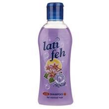 شامپو موی سر لطیفه مدل Purple Sensation مقدار 750 گرم Latifeh Purple Sensation Hair Shampoo 750g