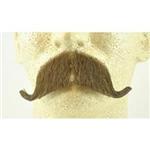 سبیل مصنوعی مدل Colonel Major or Constable Moustache no. 2014