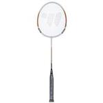 Wish Alumtec 317 Badminton Racket