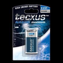 باتری کتابی تکساس 550 میلی آمپری آلکالاین ماکزیمم tecxus 6LR61- 9V Battery